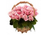 Blooming Love - 24 Stems In Basket